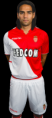/album/galerie-photos/falcao-png/